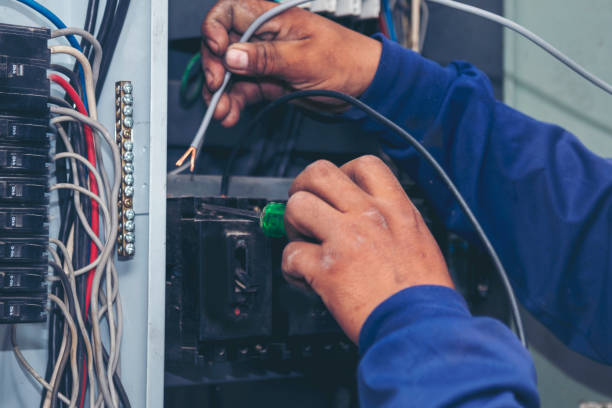 Best Home Electrical Repair  in Roseland, OH