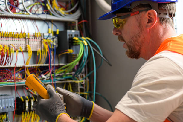 Best Electric Panel Repair  in Roseland, OH